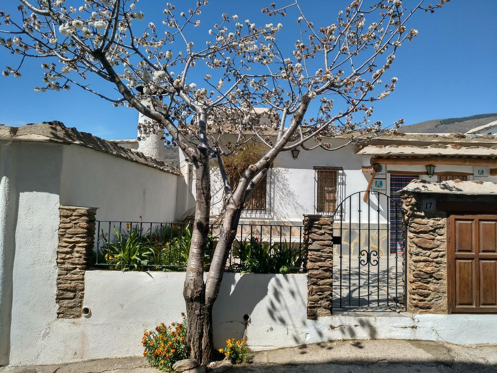 Casas Rurales Encarnita Bubión Dış mekan fotoğraf